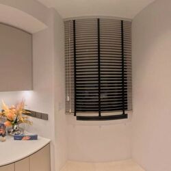 The Sen (D21), Condominium #622235891